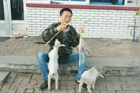 小山羊真机灵，看见主人吃东西，马上向主人飞奔围拢过来视频封面