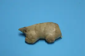 生姜用火烤一烤，作用花钱都买不到，看完记得告诉家里人视频封面