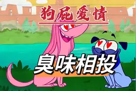狗子之间的爱情有多单纯？只需臭味相投就能谈恋爱！