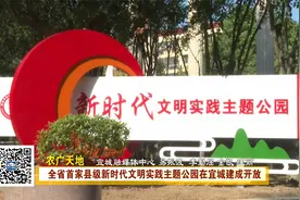 全省首家县级新时代文明实践主题公园在宜城建成开放视频封面