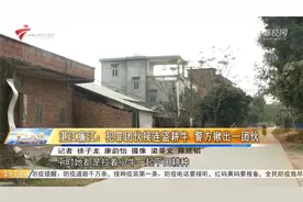 湛江廉江：犯罪团伙接连盗耕牛 警方揪出一团伙视频封面