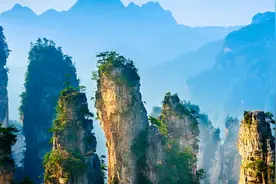 冲动是艺术家的品质，沉着是政治家的品质——毛主席视频封面