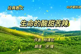 经典散文《生命的酸甜苦辣》，作者林清玄，生命里包含各种滋味视频封面