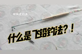 什么是飞铅钓法？什么是半飞铅？全飞铅？看完视频这些全明白了