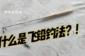 什么是飞铅钓法？什么是半飞铅？全飞铅？看完视频这些全明白了视频封面