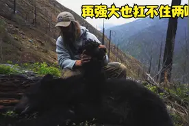 强壮的黑熊也顶不住猎人两喷子.视频封面