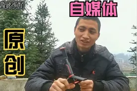 申请账号直接过原创，1000粉丝就能申请加V！头条赚钱就这么简单视频封面