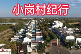 小岗村纪行（村貌、大包干纪念馆、沈浩纪念馆、当年农家、田野）视频封面
