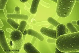 螺旋藻的作用视频封面