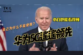 华为不能用5G的最大元凶不是美国，小零件卡住大华为的脖子视频封面