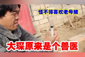 大琛家老母猪生病了，自己亲自上阵打针，第一次给猪看病手都哆嗦视频封面