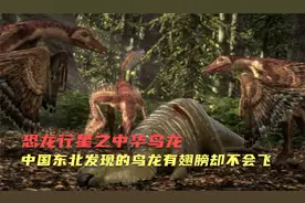 中国东北发现神秘恐龙化石，有翅膀却不会飞，牙齿有巨毒视频封面