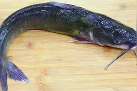 川菜师傅教你钳鱼做法，鱼肉细嫩爽滑无腥味，比烤鱼都还要好吃视频封面