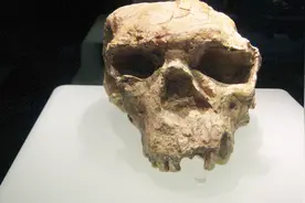 古墓挖出神秘头骨，专家研究毫无进展，却被美国专家破解视频封面