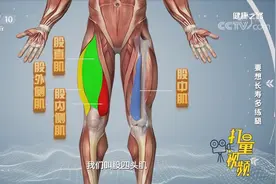 试试单腿起坐，测试一下你的股四头肌的肌肉力量|健康之路视频封面