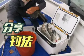 分享钓鲈鱼的方法！每次都能钓一箱，还把小鱼扔了？
