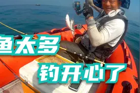 海里白姑鱼泛滥了，没人钓鱼都饿疯了，放下杆鱼就咬钩视频封面