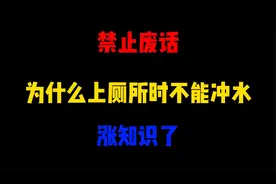 禁止废话：为什么上厕所时不能冲水？涨知识了视频封面