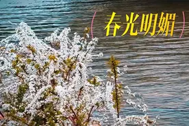 公益广告 | 文明是最美的风景视频封面