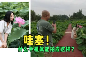 手机拍荷花人像好看吗？不用相机摄影，只需要学会这两个手机设置视频封面