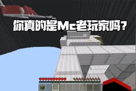 我的世界：你真的是我的世界老玩家吗？