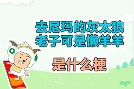 去尼玛的灰太狼，老子可是懒羊羊是什么梗？
