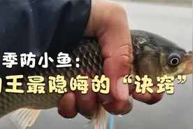听说摇三摇对抗小鱼有奇效，可钓王为何不用？实测告诉你！视频封面