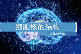 高中生物必修一重点知识导入15：细胞核的结构