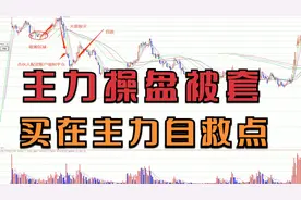主力操盘被套的秘密，了解股价背后不为人知的交易!视频封面