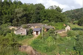 广东深山发现一无人村，随处可见废弃木房，千亩土地荒废视频封面