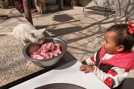 猫咪想吃大骨头，笑笑严防死守还给猫咪讲道理，简直笑死人了