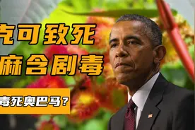 中国农村最常见的油料作物，竟然有剧毒，曾被制成毒器暗杀奥巴马视频封面