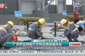 广东职业技能人才同台竞技展风采视频封面