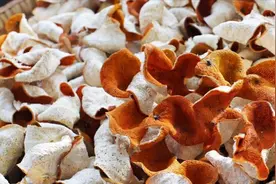 胃寒胃痛、不消化，2味食材泡茶，驱寒暖胃，养胃护胃，胃更健康