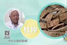 肉苁蓉和杜仲皆为温补肾阳药物，两者同用可增强温补功效