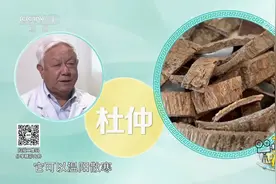 肉苁蓉和杜仲皆为温补肾阳药物，两者同用可增强温补功效视频封面
