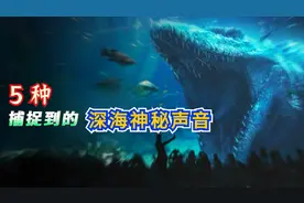 来自海洋深处的5种深海生物神秘声波，听起来犹如巨兽的低吼