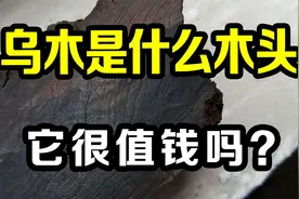 乌木是什么，它属于哪种木头？都说它价值不菲，真的吗？视频封面