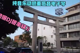 纯音动感重低音电子琴835（劲爆DJ版串烧）日本热门旅游：地鎌仓视频封面