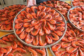 自制烤虾干，做法简单无添加，不用水煮更耐放，口味咸鲜越嚼越香视频封面