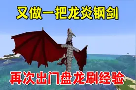 我的世界冰火传说68：又做一把龙炎钢剑，再次出门盘龙刷经验