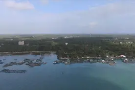 海南椰子王国，航拍原始椰林，到底美不美？一起来看看视频封面