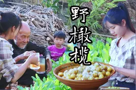 云南山里的野橄榄长啥样？阿妹爬树爬得飞快，摘点回家做橄榄膏视频封面