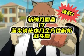 斩魄刀图鉴
17
蓝染镜花水月
全方位解析
战斗篇视频封面