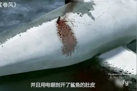 男子单挑满天鲨鱼，被吞进鲨鱼肚不但没死，还从鱼腹中救出妻子视频封面