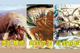 盘点巨型异兽，蒙古死亡蠕虫VS美国新型地虫VS中国蜈蚣，谁最酷？