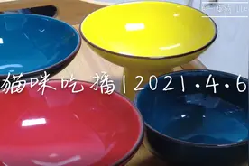 猫咪日常❷｜小猫咪吃饭真的太治愈了啊