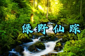 《绿野仙踪》古风钢琴纯音乐，沁心安宁，舒缓惬意的轻音乐视频封面