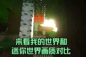 来看我的世界画质和迷你世界画质对比视频封面