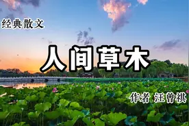 经典散文 《人间草木》 作者 汪曾祺视频封面